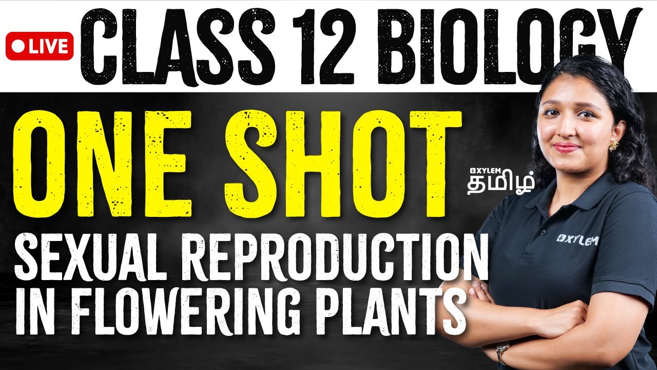 One Shot | Class 12 | Sexual Reproduction in Flowering Plants | Xylem NEET Tamil