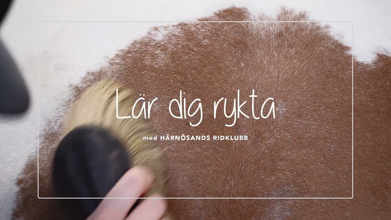 Lär dig rykta med Härnösands Ridklubb