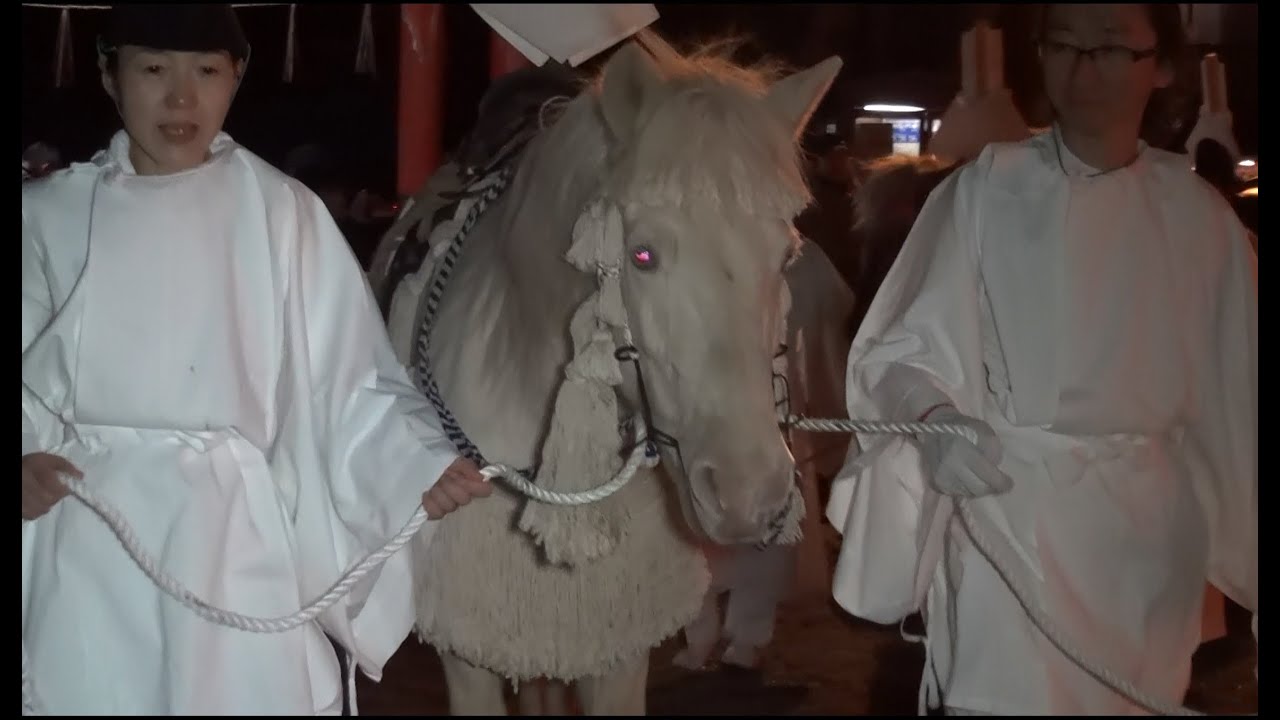 鹿島神宮で邪気を払う新春の神事「白馬祭」