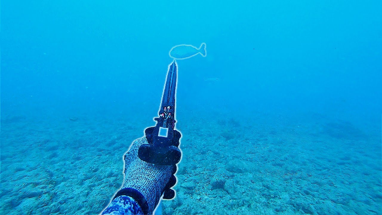 Diving the Shallows For Dinner|| 4.5LB Kala Catch & Cook