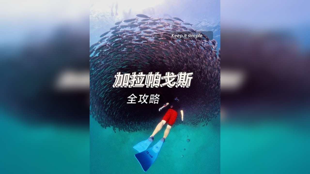 巨好玩的加拉帕戈斯群岛！旅行全攻略 【震撼！加拉帕戈斯超现实体验】跟海豹游泳、鲨鱼围观、手喂蜂鸟｜彩蜂超级摄影团全纪录 我本以为加拉帕戈斯只是“自然课本”里的名字，没想到它的真实体验远超想象。就像打开