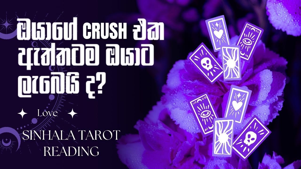 ඔයාගේ ක්‍රෂ් එක ඔයාට ඇත්තටම ලැබේවිද? ♥️😍 Tarot Reading Sinhala #tarot #srilanka #crush 