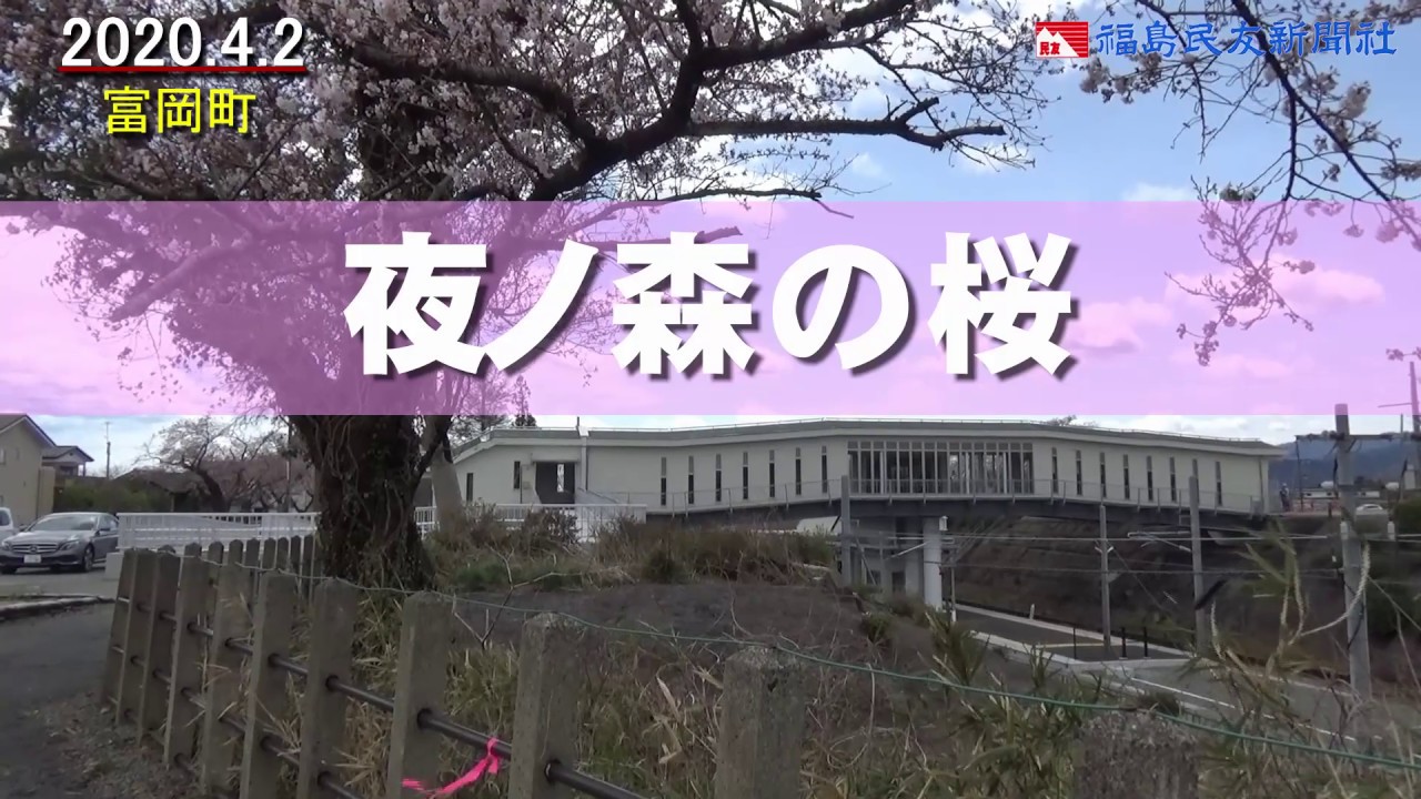［ふくしま・さくらだより2020］夜ノ森の桜