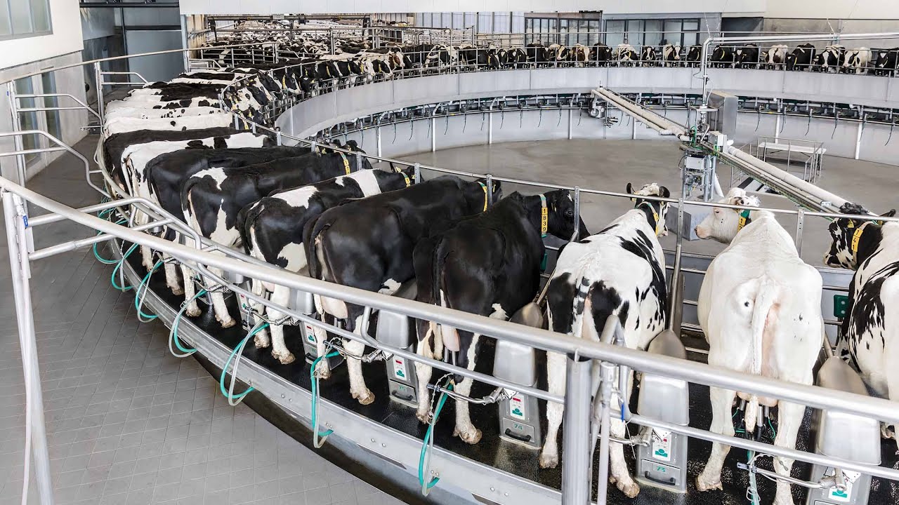 GEA Dairy Rotary T8900