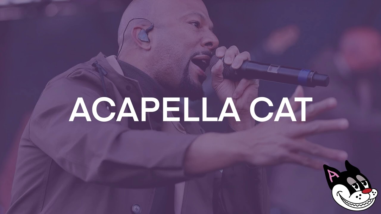 Common - I Used to Love H.E.R Acapella 92 BPM - 4K Acapella Cat