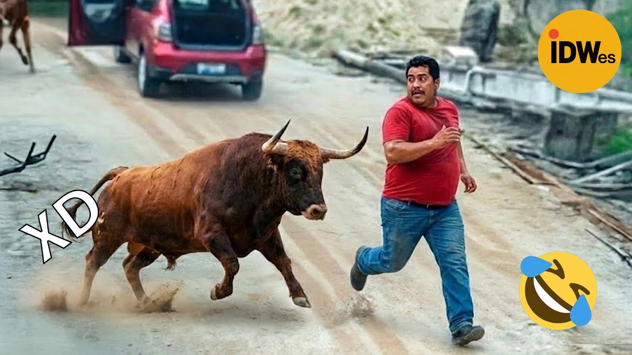 SI TE RÍES PIERDES NIVEL DIOS #394 🤣 TOP 100 VIDEOS MÁS DIVERTIDOS DE TODOS LOS TIEMPOS