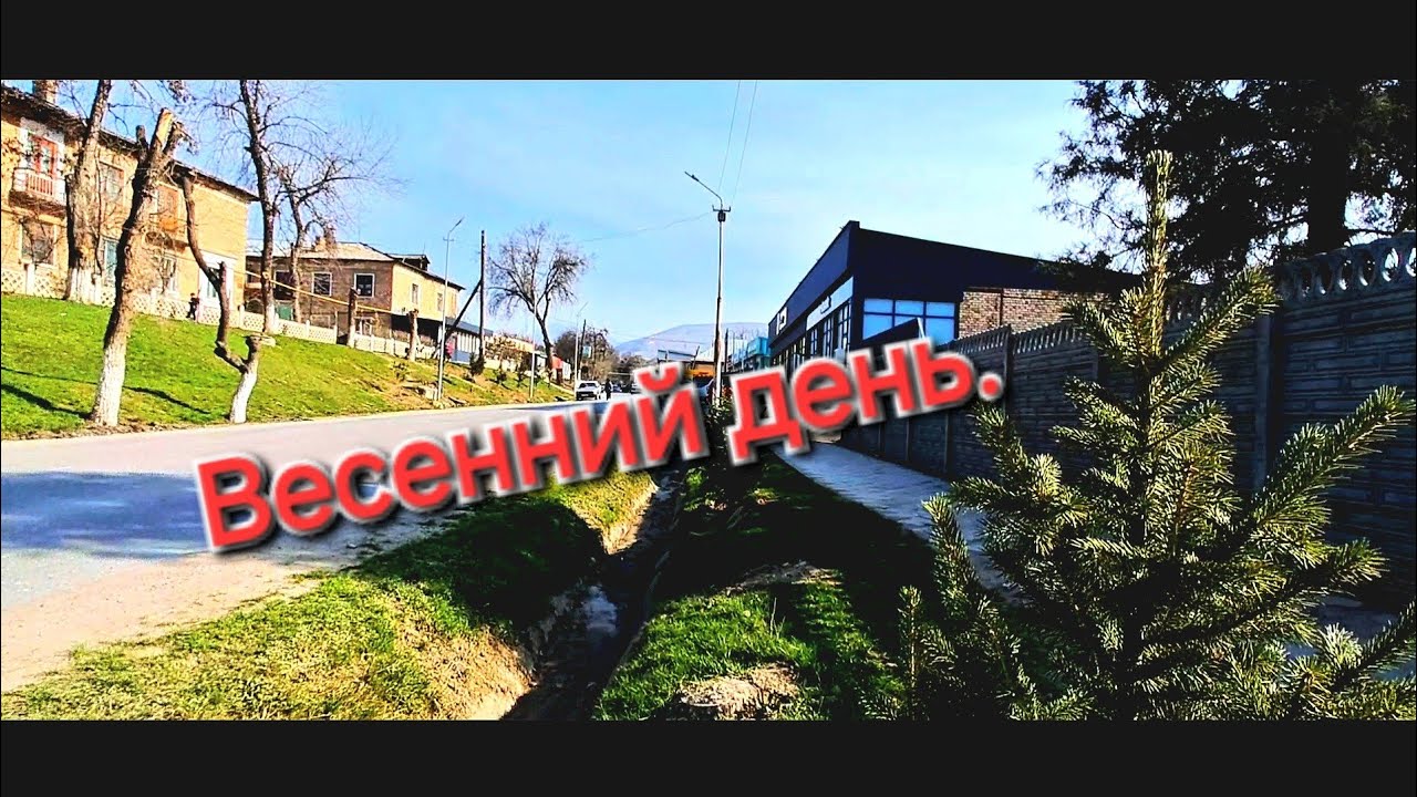 17 марта 2025 г.