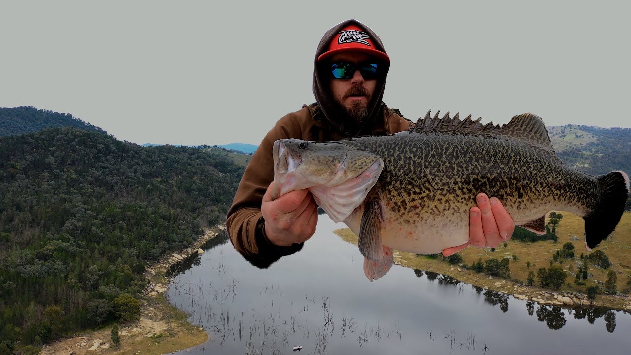 A day chasing Murray Cod