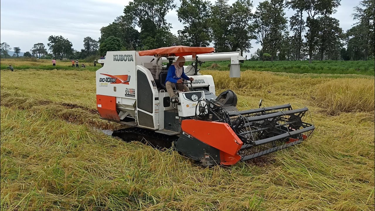 รถเกี่ยวkubota DC 105x เจอข้าวหนาติดคอบ่อยมาก