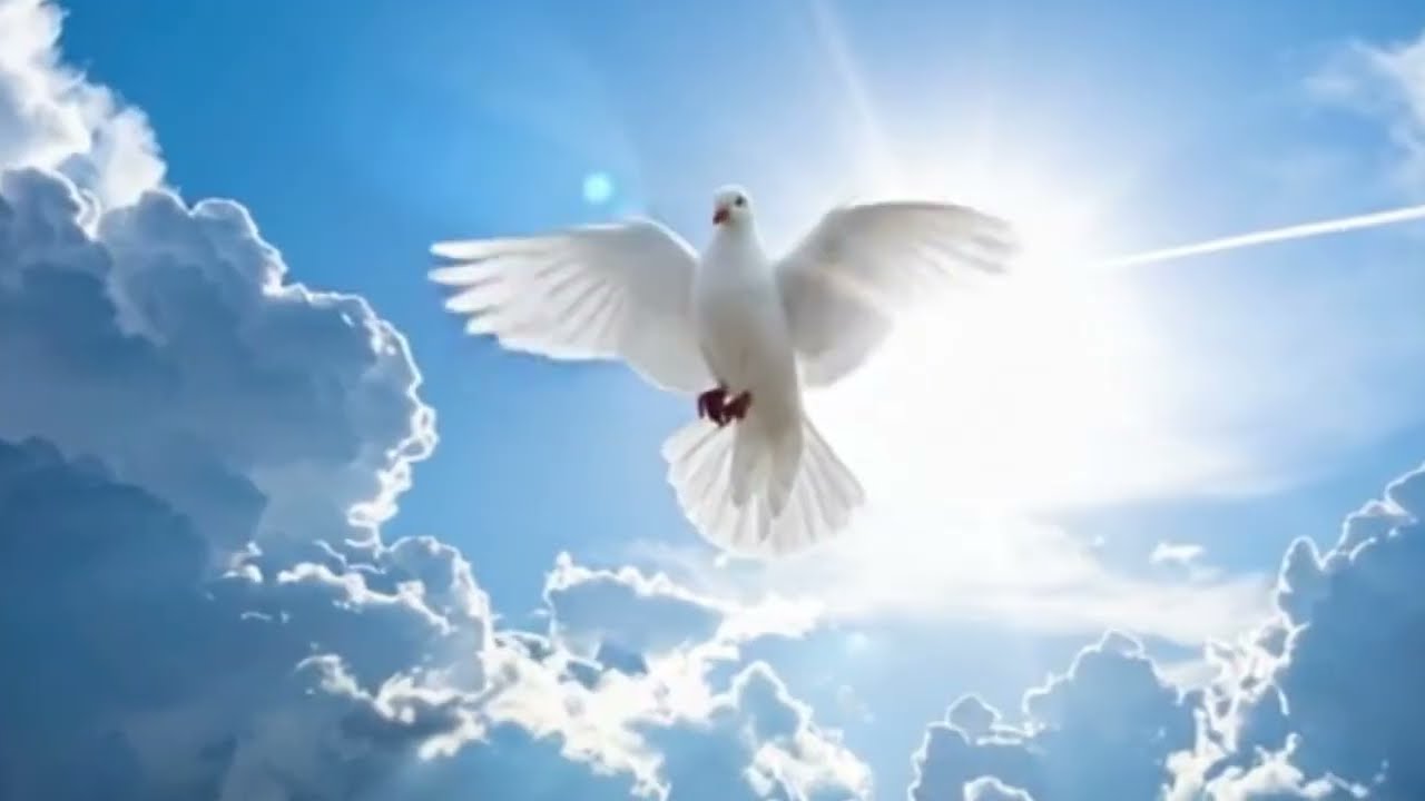 Ven, Soplo de Vida (Voces de Luz)