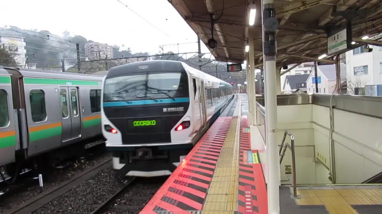 JR東日本　東海道線特急　E257系2000番台　9両　通過　来宮駅(JT-22)