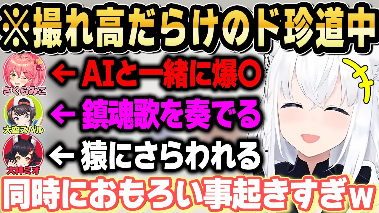 【MIMESIS】一生カオス状態のド珍組がおもしろすぎるｗ【ホロライブ 切り抜き/白上フブキ/大空スバル/さくらみこ/大神ミオ】