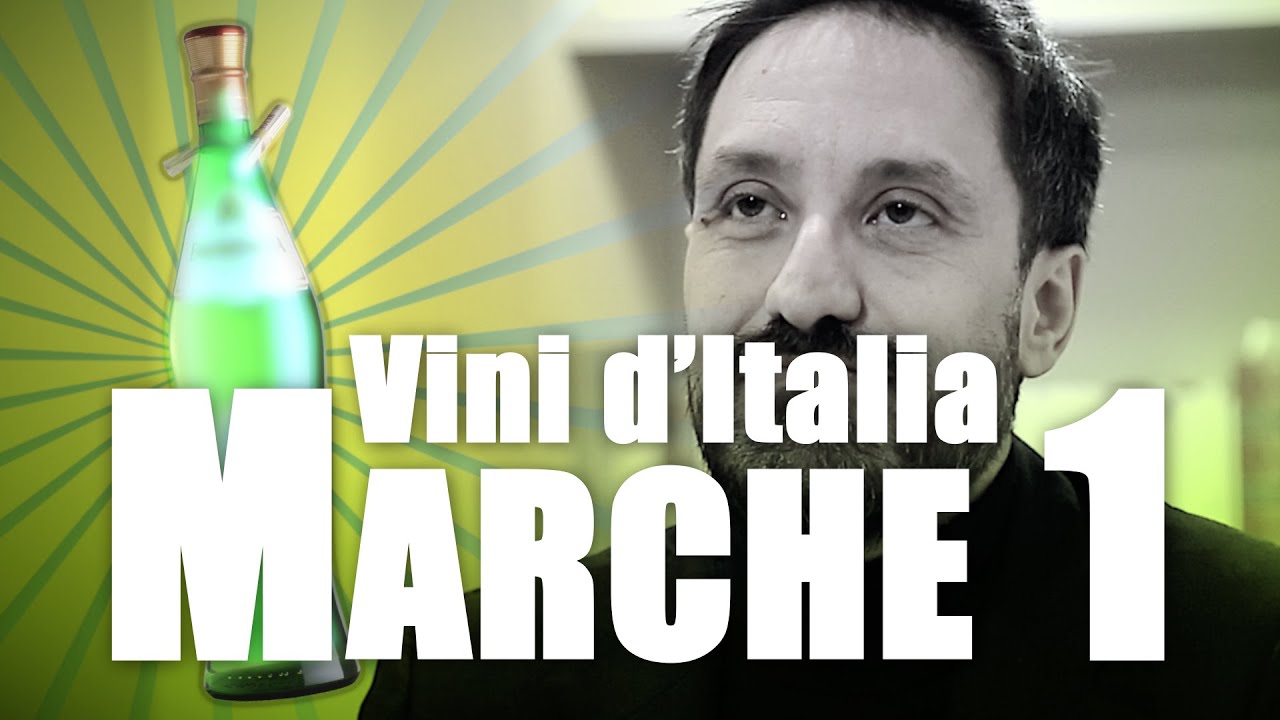 Vini Marche: spumanti e vini bianchi