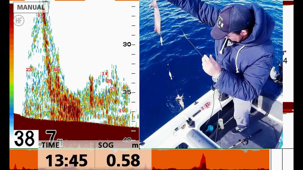 Καλαμάρια στην Οθόνη(Ψαρεμα)... Squid on the Screen(fishing)