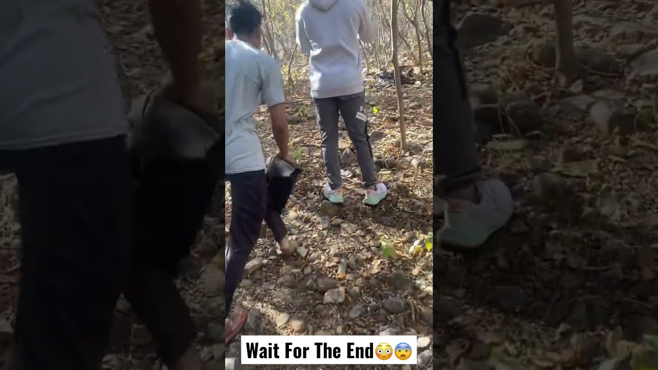 Found Dead Body in Jaipur Forest😨 #shorts #vlogs #jaipurvlog #cow