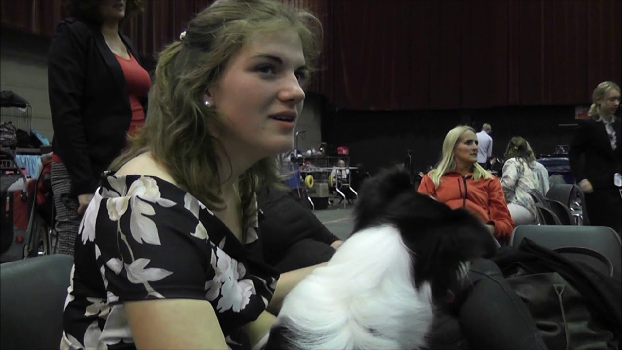 SOH #10 IJsselshow Zwolle met Blue, Lya en Ellis