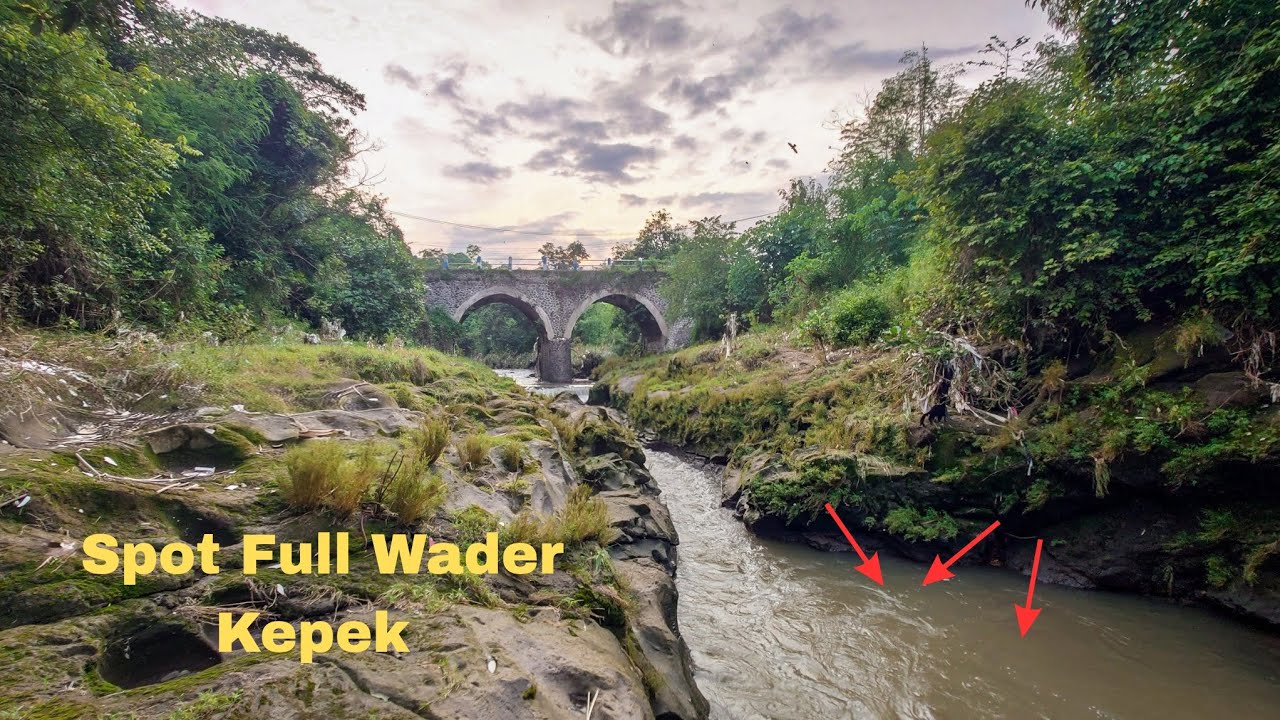 Wader Kepek Mulai Mendominasi Perairan Bangil‼️(Adventure Mancing) 
