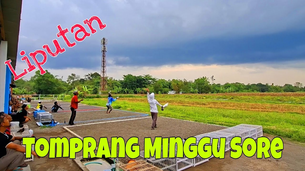 Liputan Aduan Tomprang Minggu Sore 19 Oktober 2025 #jaydiy 