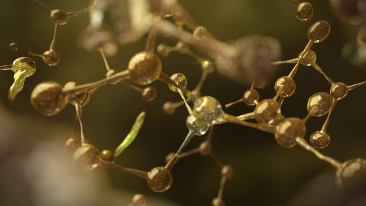 Castrol VECTON Video Oct 2019