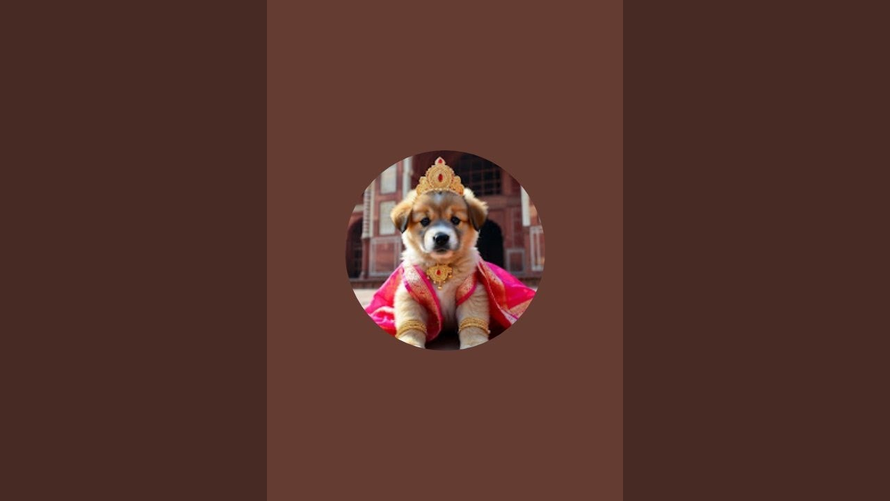 Animals story like lion elephant goat fish etc# daily romantic story #uploded in Short feed #