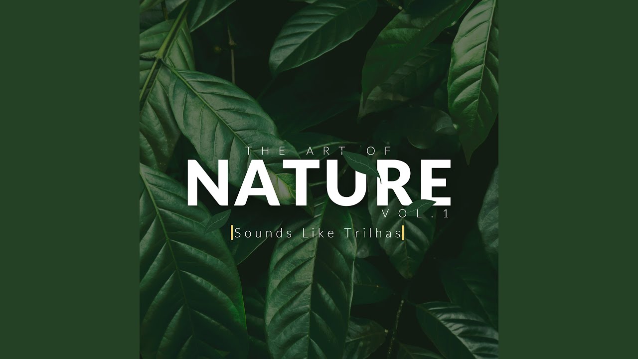 The Art Of Nature, Vol. 1
