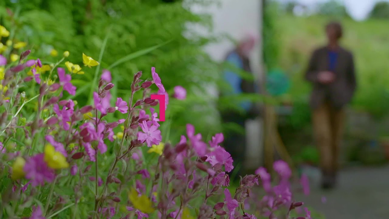 An Fód Deireanach | The Traditions of the bog | TG4