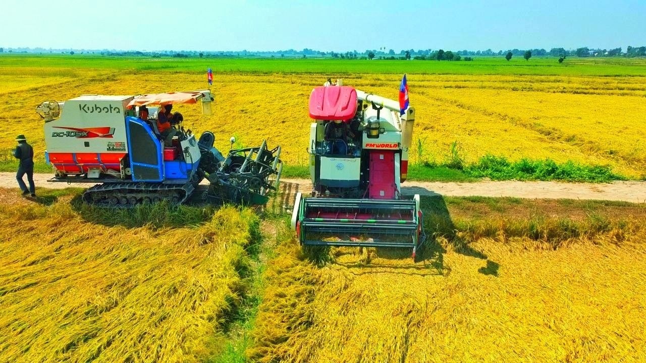New Model FM WORLD & Kubota Combine Harvesters  Professional Rice Harvesting with High Safety