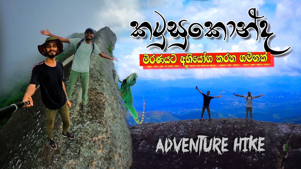 පොඩ්ඩක් හරි කකුල ලිස්සුවොත් මරණය නිසැකයි😲 | Adventure Katusukonda | මාරාන්තික කටුසුකොන්ද | Mawathe