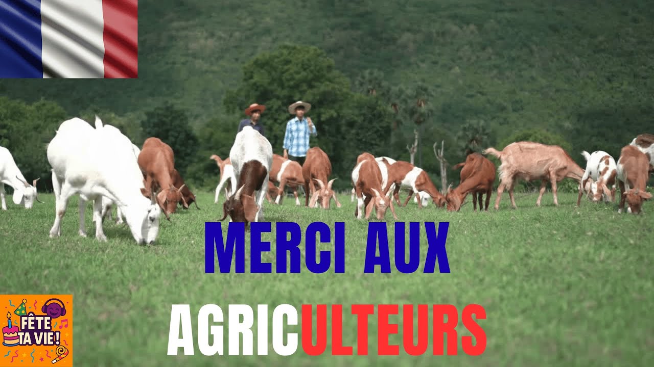 🐮La Chanson de Soutien aux Agriculteurs 🔥🇫🇷 #chanson #agriculture #ensemble