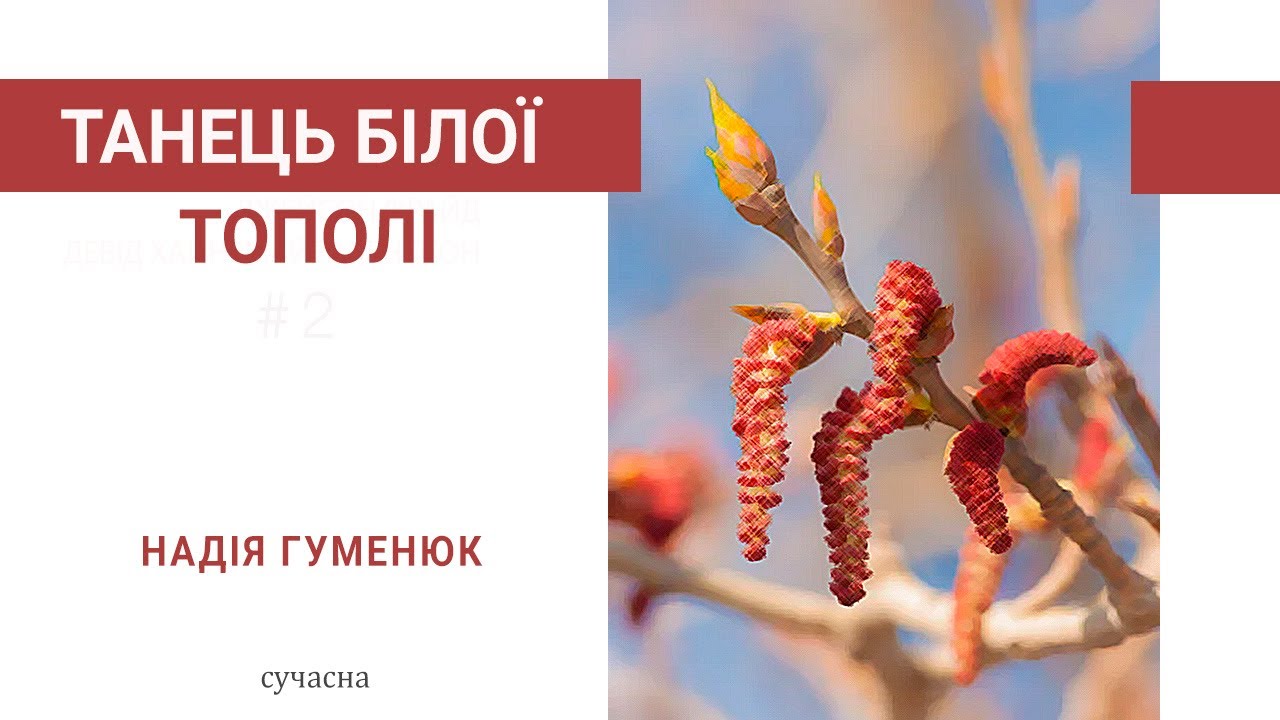 Аудіокнига 