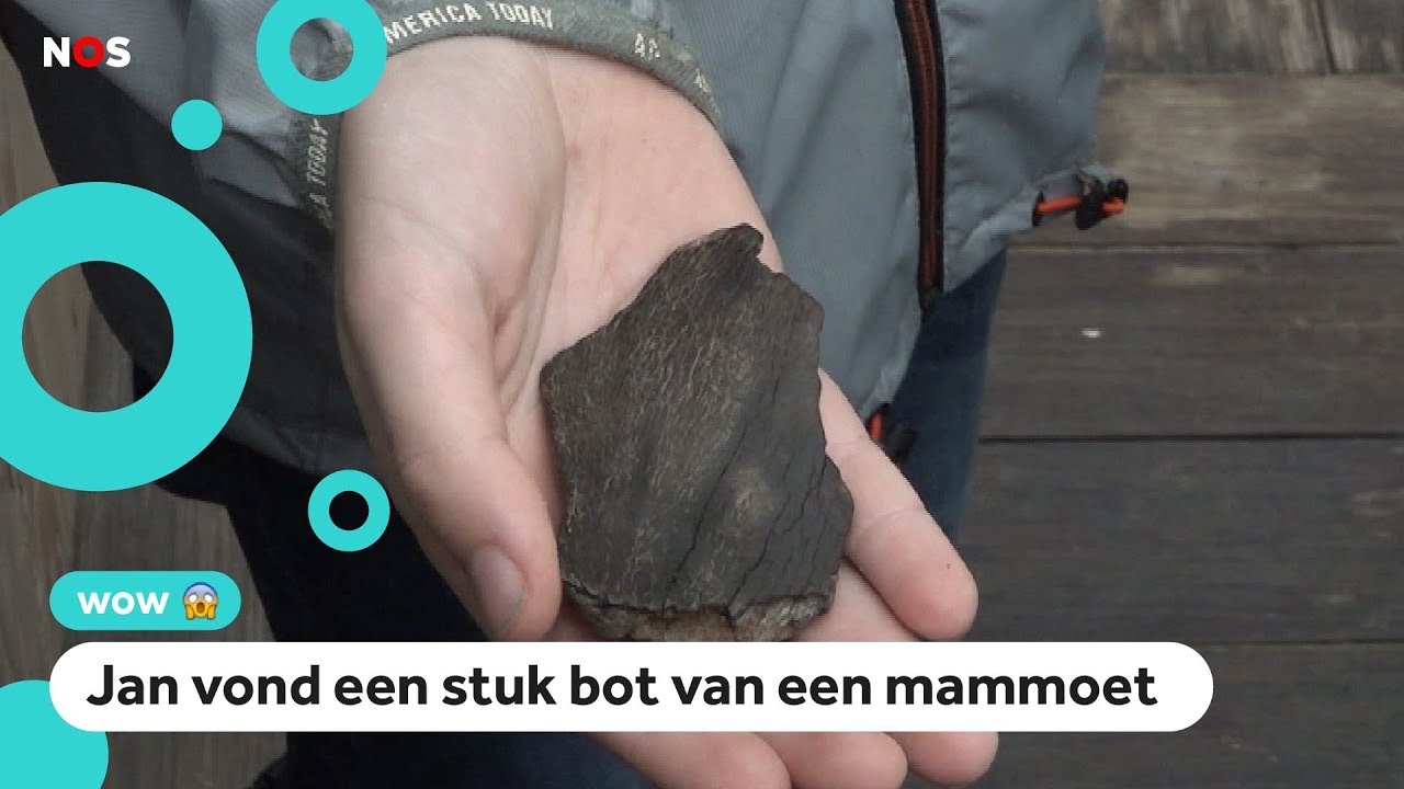 Eeuwenoude spullen gevonden op het strand van Kijkduin