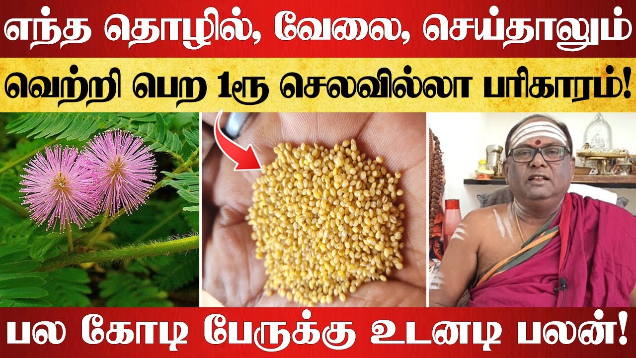 எந்த தொழில், வேலை செய்தாலும் இந்த 1 பொருள் மட்டும் போதும் உங்க வாழ்க்கை சடசடனு மேலே செல்லும்!