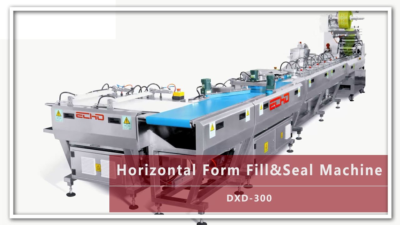 Horizontal Form Fill & Seal Machine DXD-300 | Echo Machinery