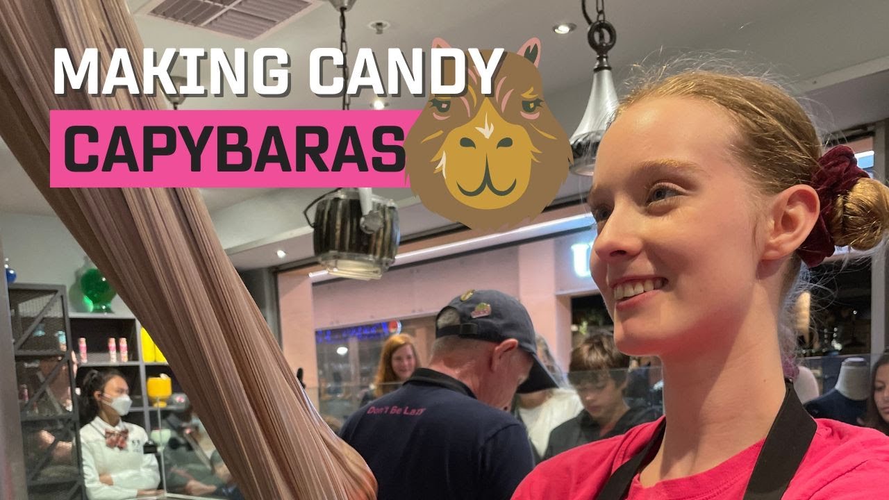 Candy Capybaras |Our Best Lolly Ever!|