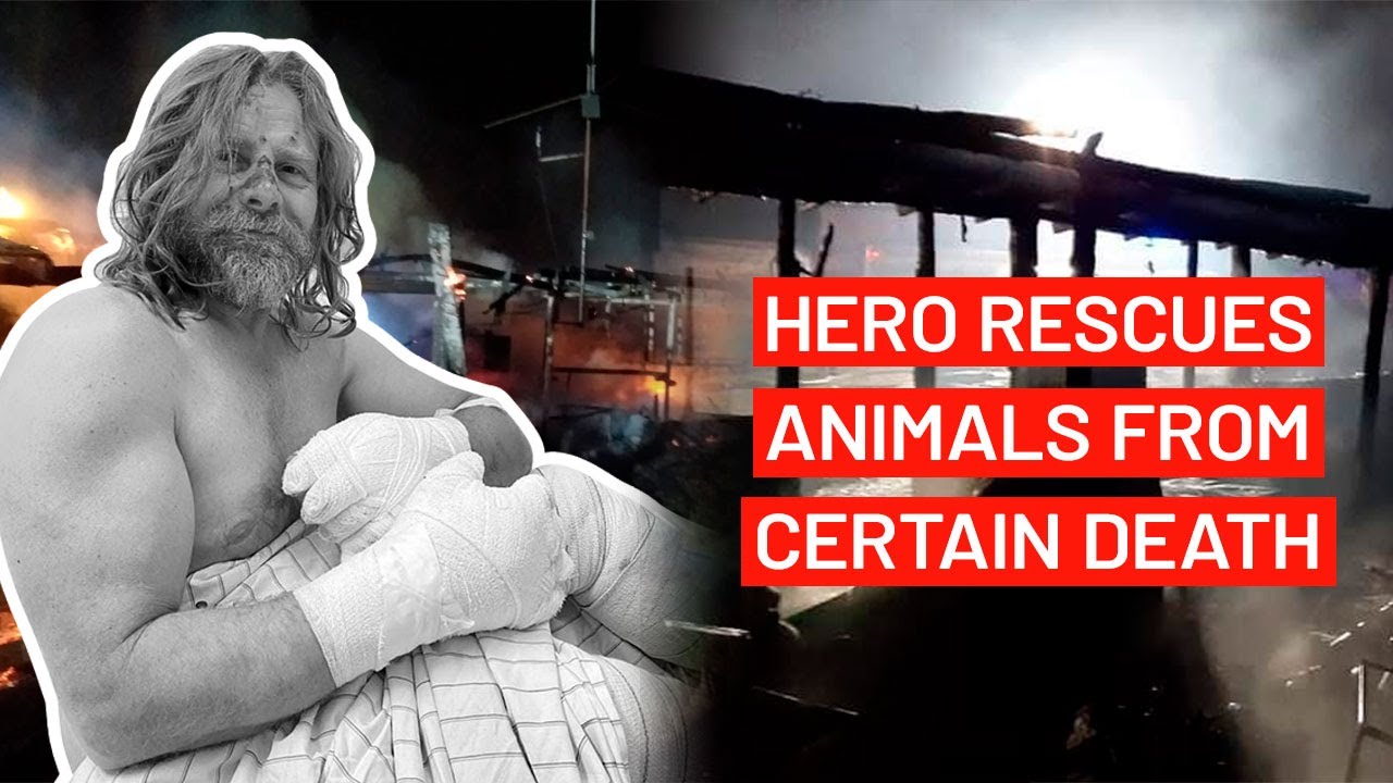 Amazing Hero Rescues Animals from Fire