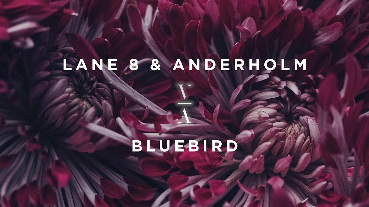 Lane 8 & Anderholm - Bluebird
