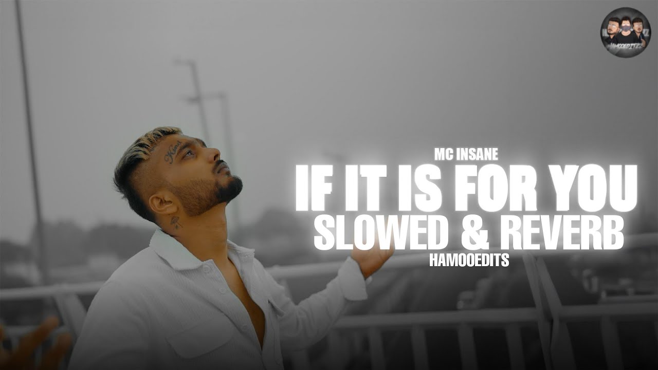MC Insane - If it is for you ( Slowed And Reverb ) | The Heal Album