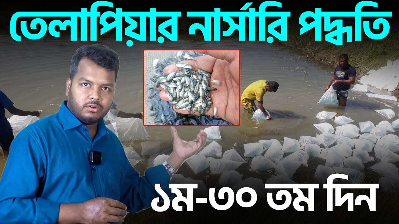 তেলাপিয়ার নার্সারি পুকুরে কোন খাদ্য দিবেন || SA তেলাপিয়ার পোনা || Monosex Tilapia || Shakib Agro
