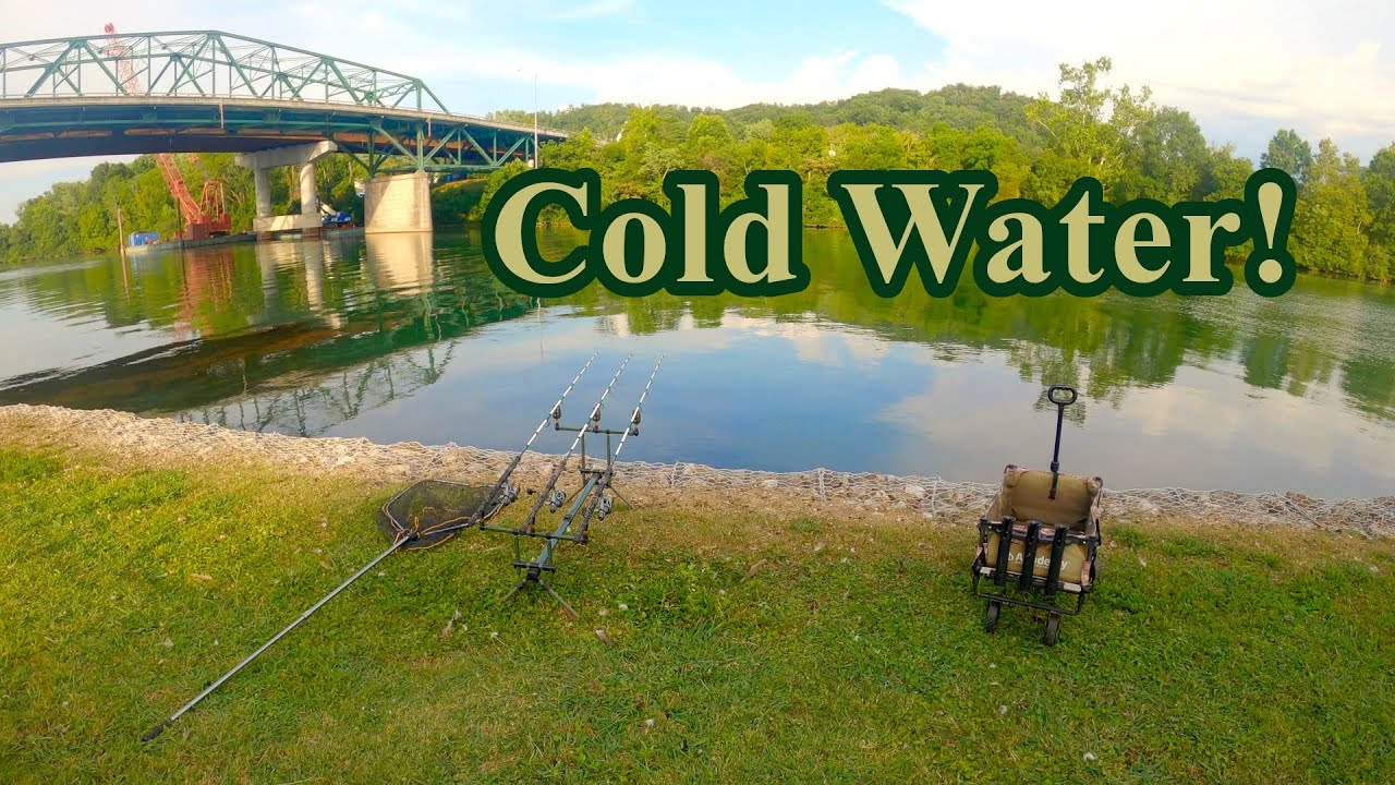 Summer Carp fishing in a cold water river (guess what I didn't catch)