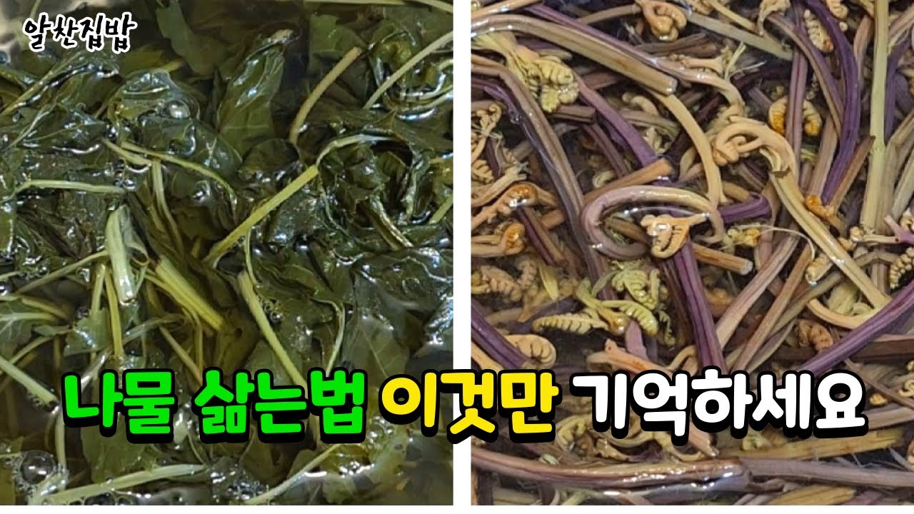 [나물 삶는법] 고사리는 OO넣고 삶아주면 비린맛이 도망가요^^~ 취나물도 보들야들 끝내줍니다😄
