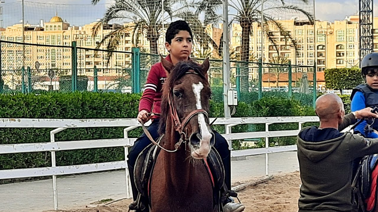 نظام تدريب الفروسيه في نادي اصحاب الجياد بالاسكندريه