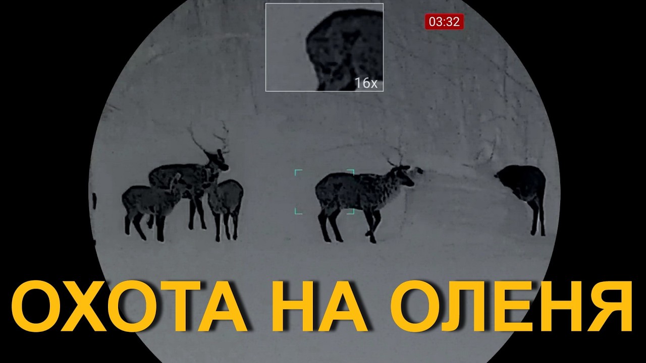 Охота на ОЛЕНЯ 💥 закрытие февраля