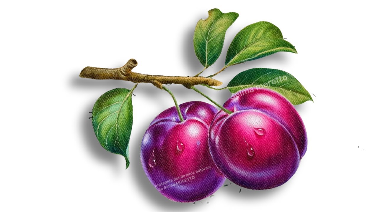PINTANDO AMEIXAS - SEMANINHA DE FRUTAS
