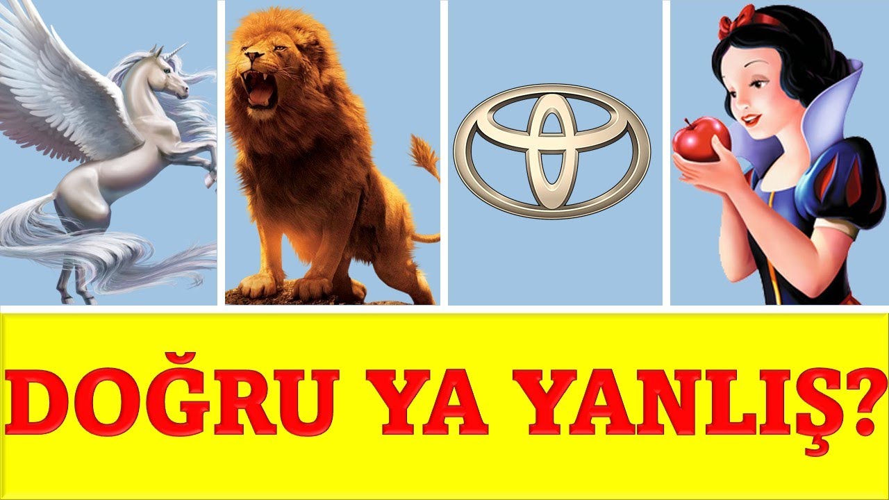 Doğru ya Yanlış? Ümumi Biliklər üzrə Test