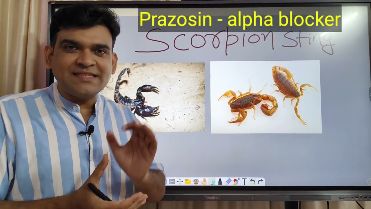 scorpion 🦂 sting ka ilaz and honey bee 🐝 and wasp sting ka ilaz #drniteshraj