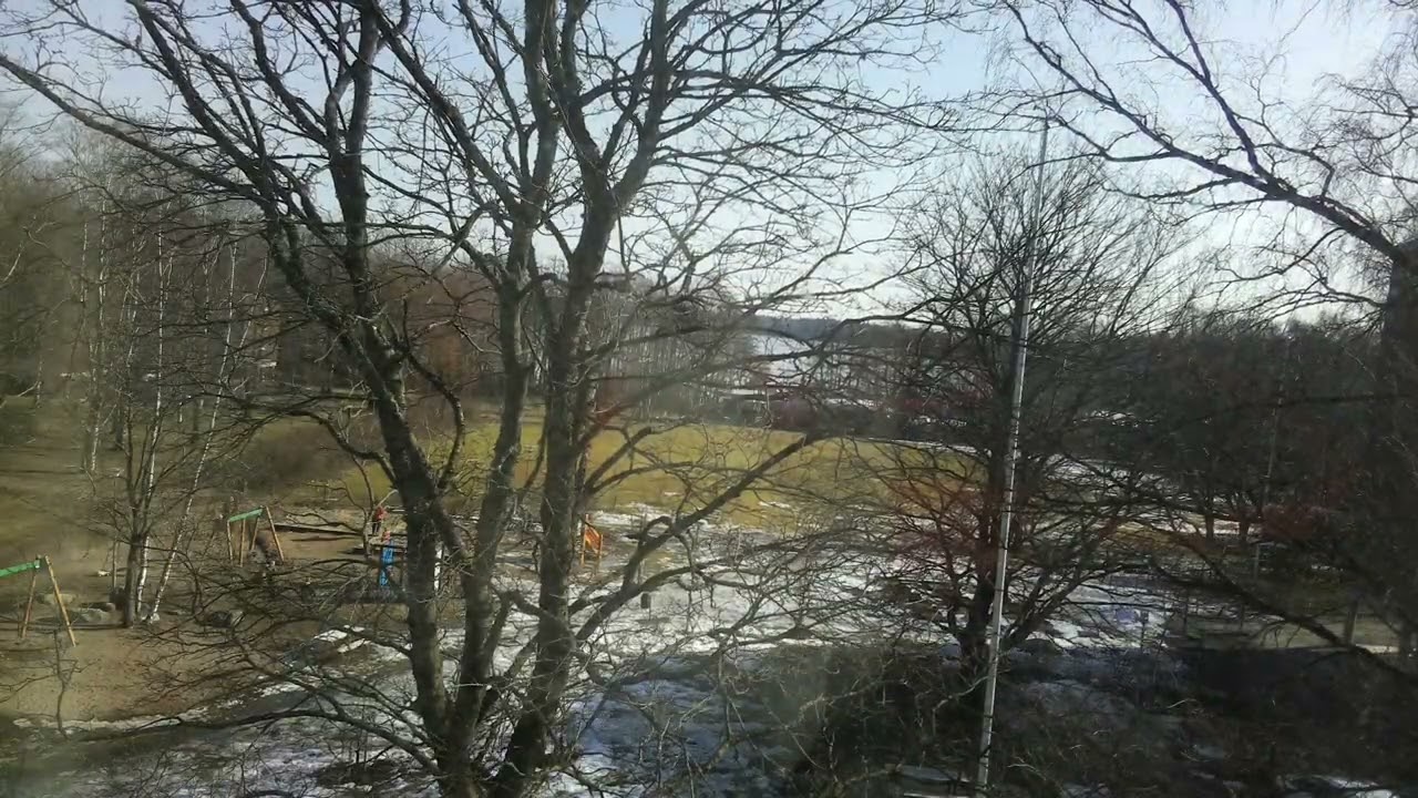 Daily Timelapse Pi0Cam 2026-03-15