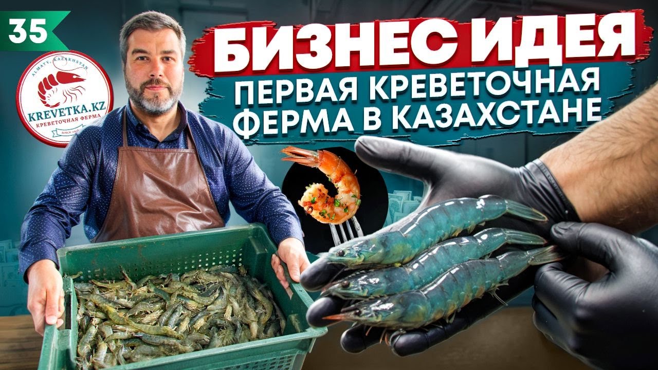 Как превратить выращивание креветок в прибыльный бизнес? Сколько это стоит?