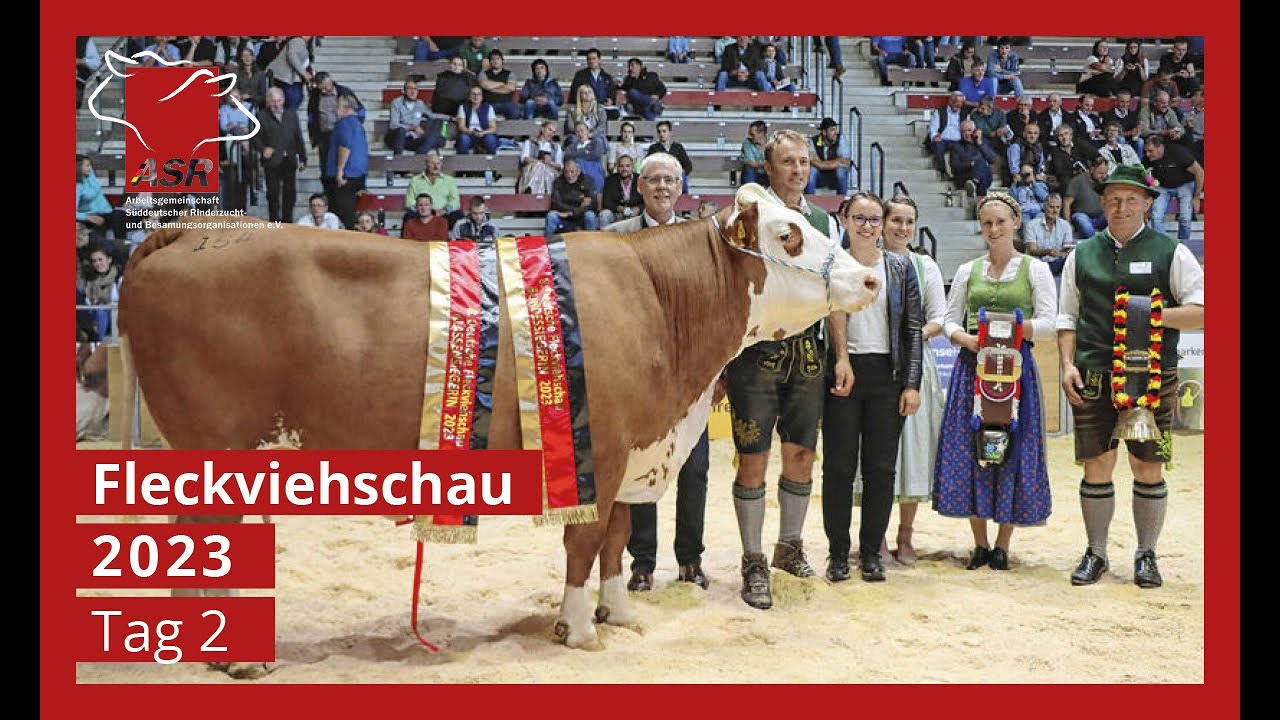 Deutsche Fleckviehschau 24.09.2023 Tag 2