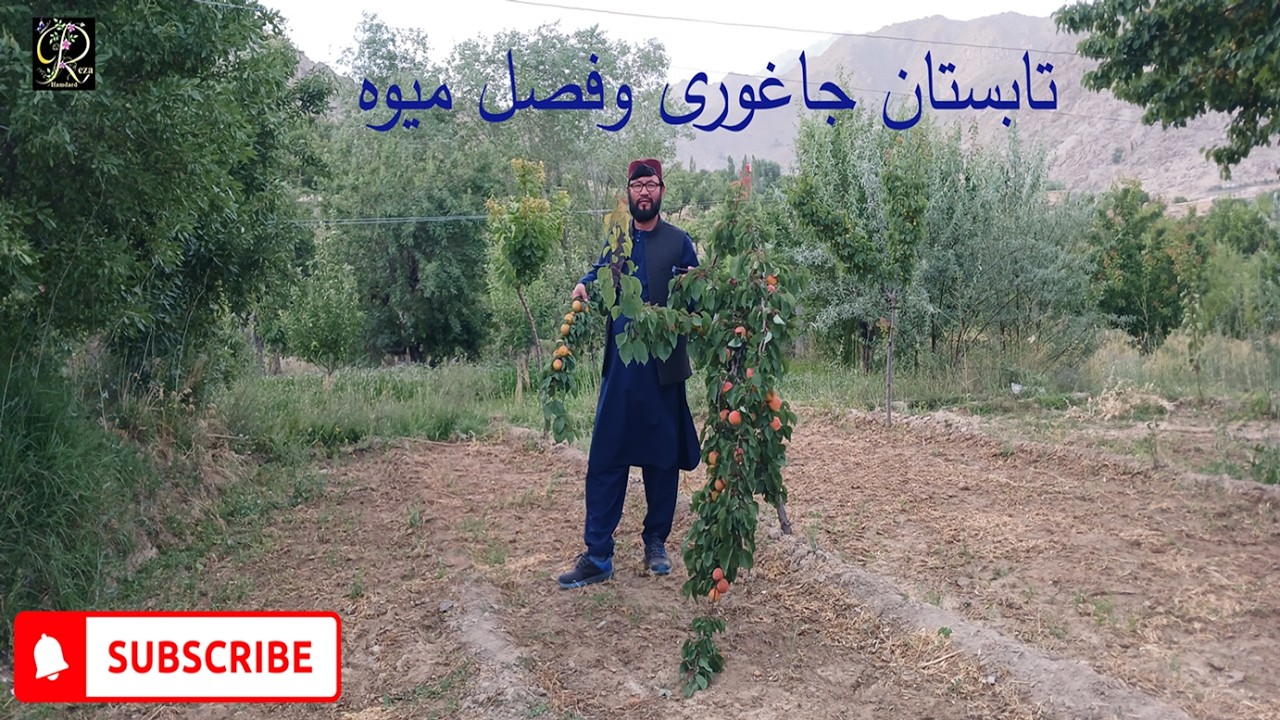 سفر به قریه قسمت هشتم