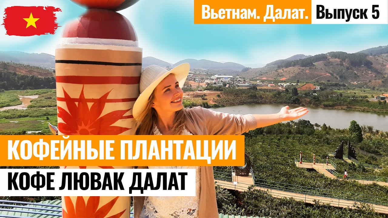ВЬЕТНАМ. Кофейные плантации Далата (luwak coffee Dalat). Кофе Лювак Вьетнам. Лайкни Мир - Выпуск 5